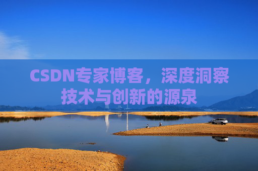 CSDN专家博客，深度洞察技术与创新的源泉